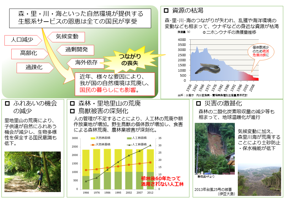 森・里・川・海の連環確保の必要性 －顕著化する暮らしへの影響－