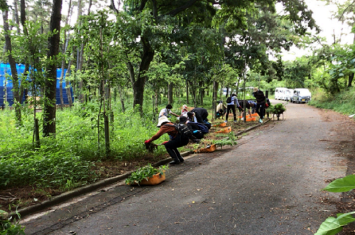 新潟市北区海岸林保全計画