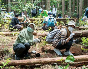 第16回筑波山水源の森づくり
