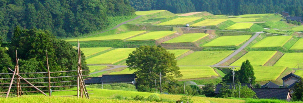 イベントスケジュール