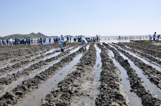 山口県 椹野川流域取組画像