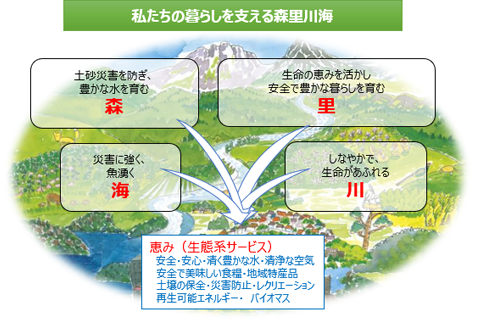 私たちの暮らしを支える森里川海 自然の恵みを引き出す仕組みの構築やライフスタイルの転換