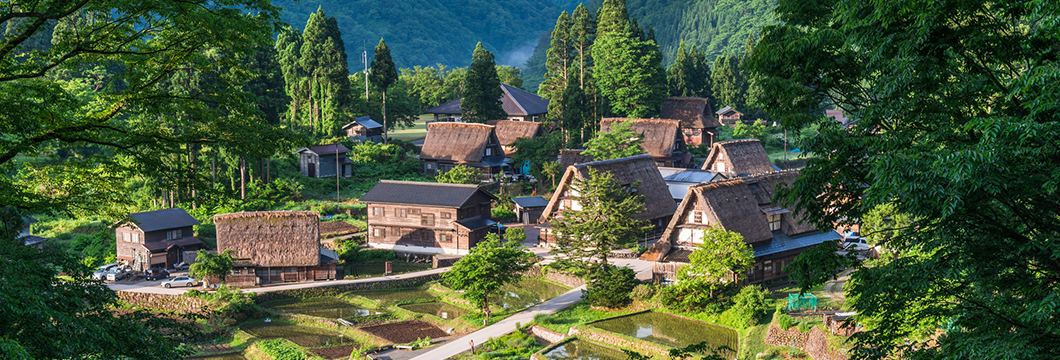 「つなげよう、支えよう森里川海」プロジェクトについて