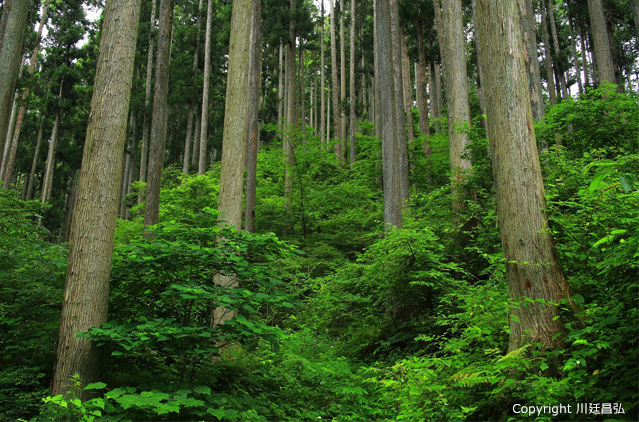 宮城県 南三陸町風景画像