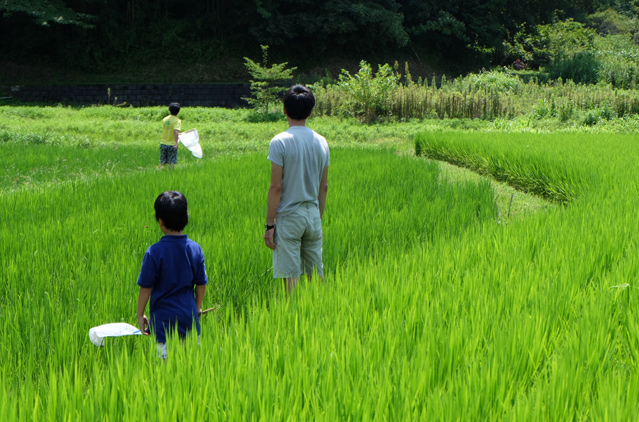 神奈川県 小田原市里画像