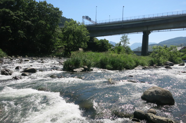 神奈川県 小田原市川画像