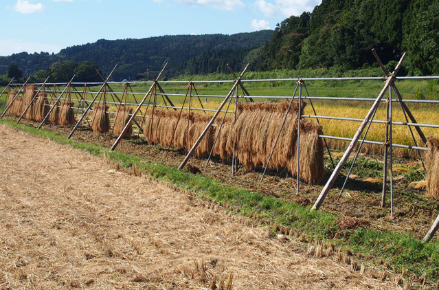 石川県 珠洲市里山画像