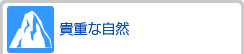 貴重な自然