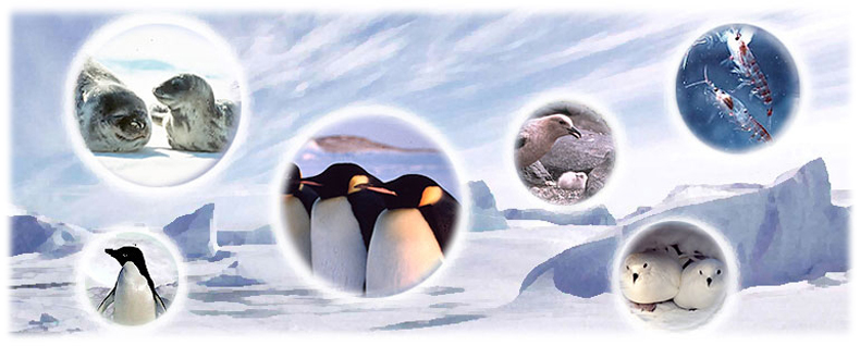南極の自然と環境保護トップページイメージ