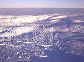 ホノール氷河