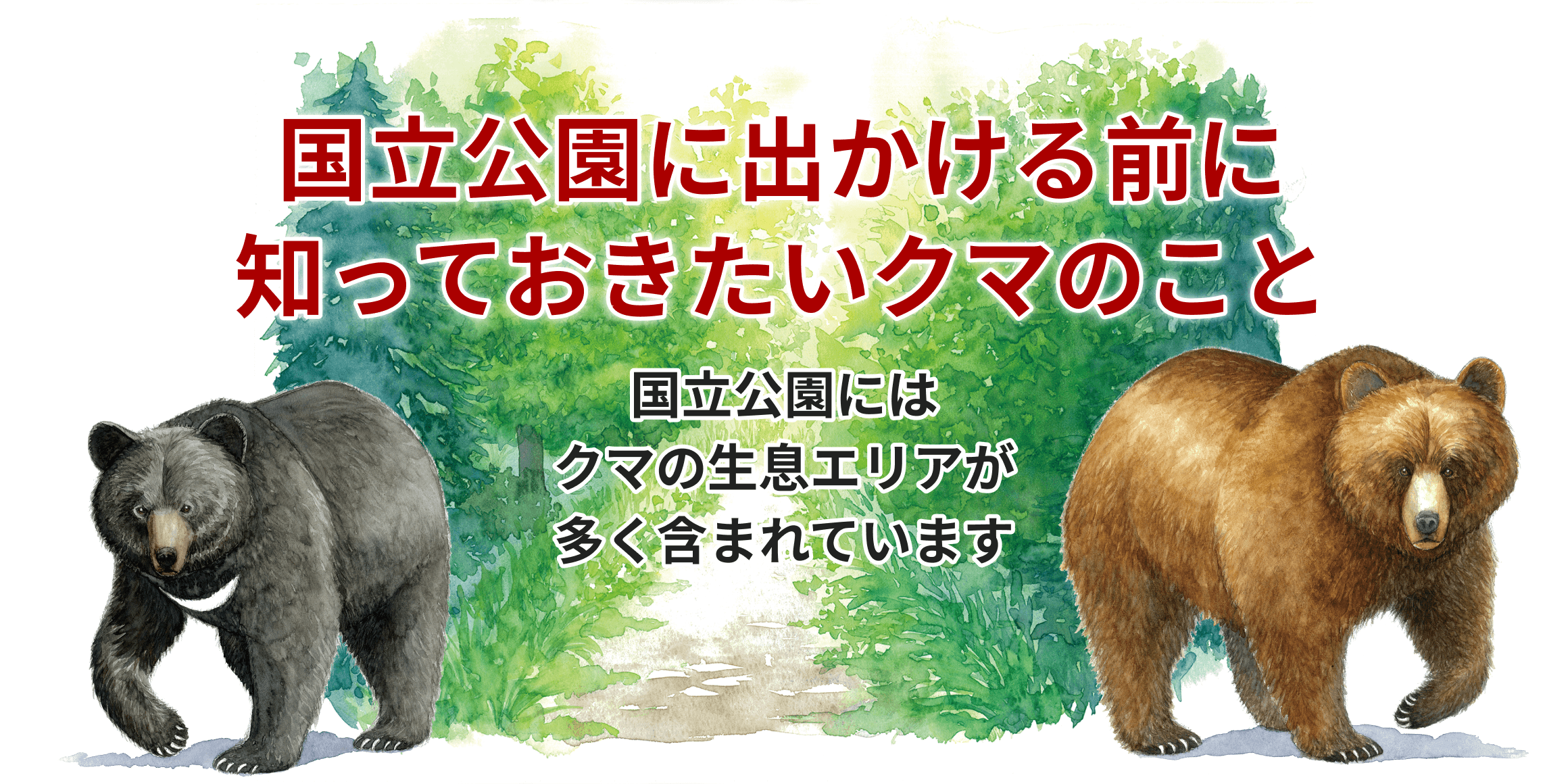国立公園にはクマの生息エリアが多く含まれています