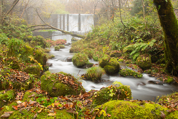 木谷沢渓流散策ツアー | 国立公園に、行ってみよう！ | 環境省
