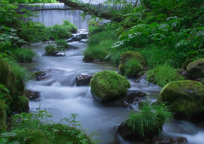 木谷沢渓流散策ツアー | 国立公園に、行ってみよう！ | 環境省