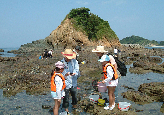 浮島自然水族館 | 国立公園に、行ってみよう! | 環境省