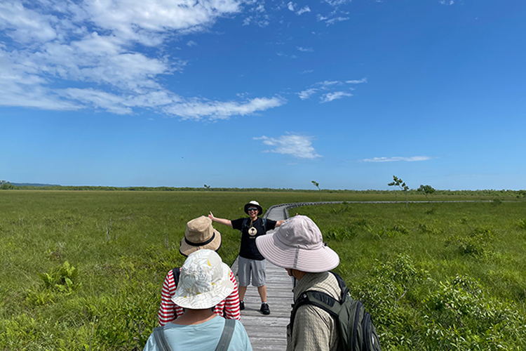 釧路湿原ネイチャーウォッチング | 国立公園に、行ってみよう！ | 環境省