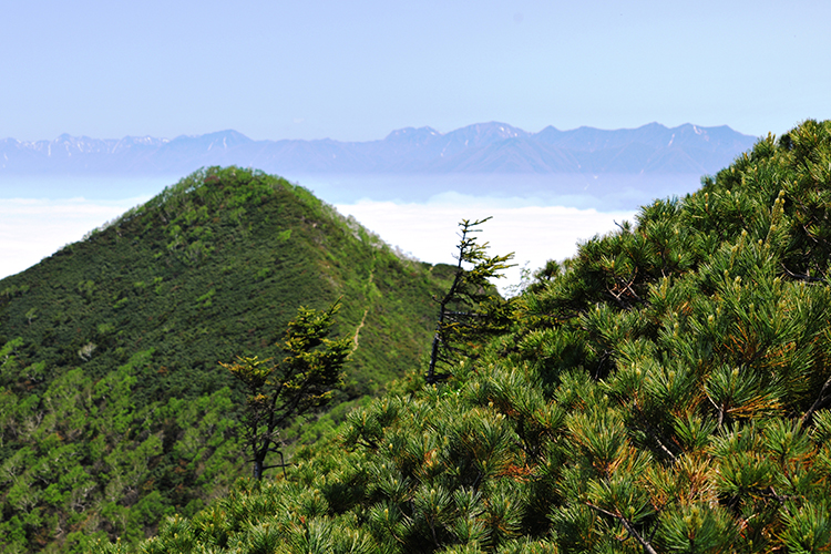 登山「ピンネシリ～アポイ岳縦走」 | 国立公園に、行ってみよう！ | 環境省