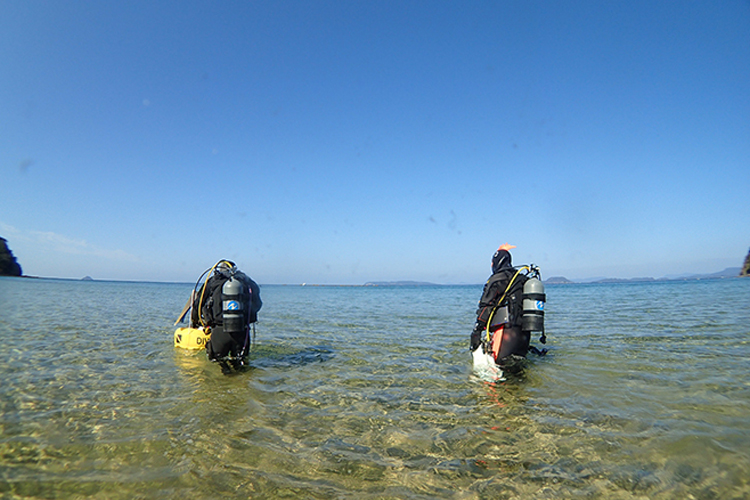 九十九島のダイビング体験 | 国立公園に、行ってみよう！ | 環境省