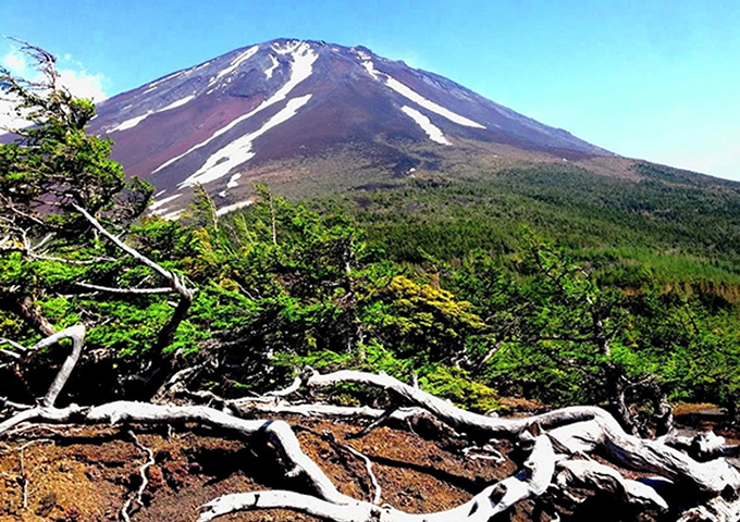 富士箱根伊豆国立公園 | 国立公園一覧 | 国立公園に、行ってみよう
