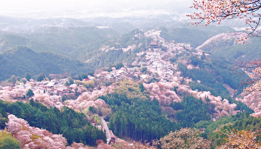 吉野熊野国立公園の写真