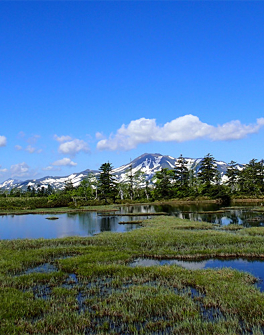 大雪山国立公園　沼ノ原