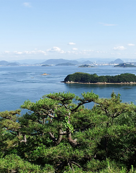 瀬戸内海国立公園　鷲羽山