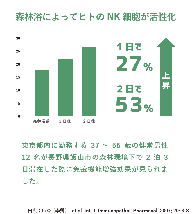 森林浴によってヒトのNK細胞が活性化。1日で27%、2日で53%上昇したことを表す棒グラフ　東京都内に勤務する37～55歳の健常男性12名が⾧野県飯山市の森林環境下で2泊3日滞在した際に免疫機能増強効果が見られました。出典：Li Q（李卿）, et al. Int. J. Immunopathol. Pharmacol. 2007; 20: 3-8.（SP表示）