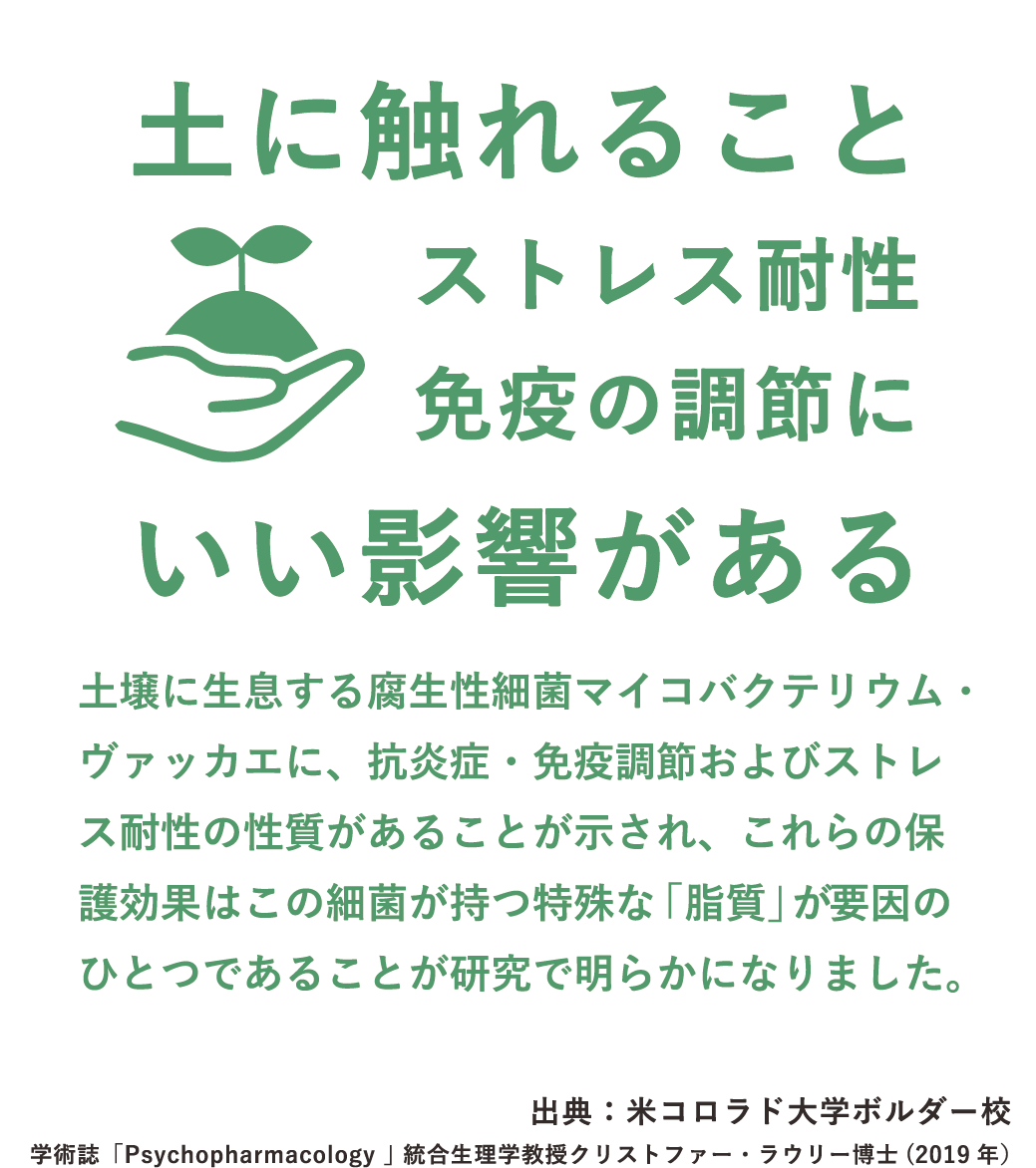 土に触れることストレス耐性免疫の調節にいい影響がある。両手ですくった土から芽が出ているイラスト。土壌に生息する腐生性細菌マイコバクテリウム・ヴァッカエに、抗炎症・免疫調節およびストレス耐性の性質があることが示され、これらの保護効果はこの細菌が持つ特殊な「脂質」が要因のひとつであることが研究で明らかになりました。出典：米コロラド大学ボルダー校 学術誌「Psychopharmacology 」 統合生理学教授クリストファー・ラウリー博士(2019 年）（PC表示）