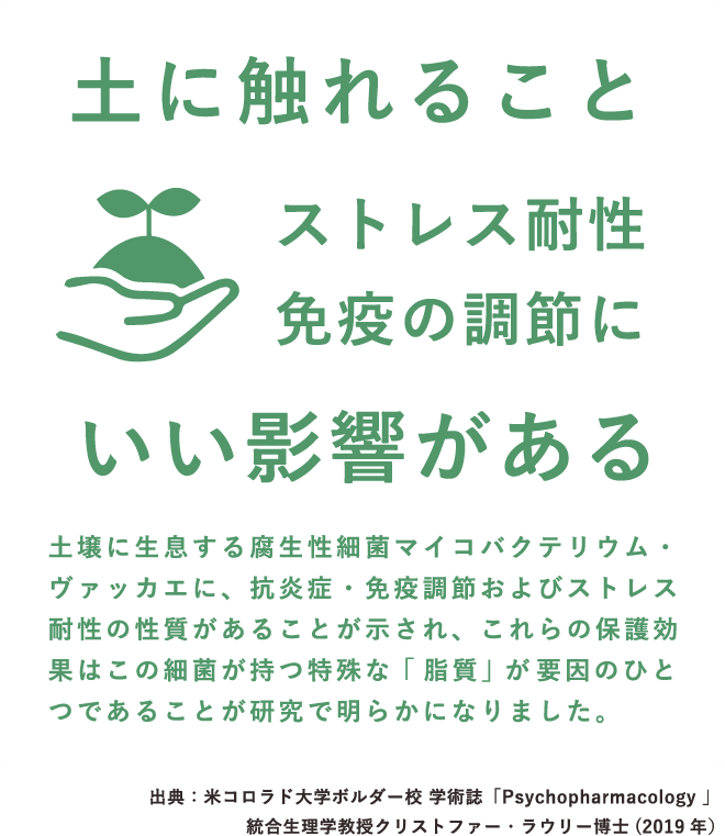 土に触れることストレス耐性免疫の調節にいい影響がある。両手ですくった土から芽が出ているイラスト。土壌に生息する腐生性細菌マイコバクテリウム・ヴァッカエに、抗炎症・免疫調節およびストレス耐性の性質があることが示され、これらの保護効果はこの細菌が持つ特殊な「脂質」が要因のひとつであることが研究で明らかになりました。出典：米コロラド大学ボルダー校 学術誌「Psychopharmacology 」 統合生理学教授クリストファー・ラウリー博士(2019 年）（SP表示）