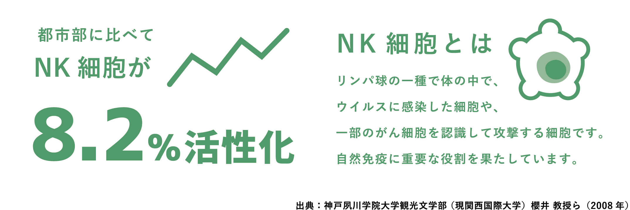 都市部に比べてNK細胞が8.2%活性化。NK細胞とは、リンパ球の一種で体の中で、ウイルスに感染した細胞や、一部のがん細胞を認識して攻撃する細胞です。自然免疫に重要な役割を果たしています。出典：神戸夙川学院大学観光文学部 （現関西国際大学）櫻井 教授ら（2008 年）（PC表示）