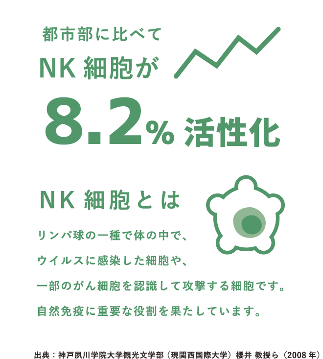 都市部に比べてNK細胞が8.2%活性化。NK細胞とは、リンパ球の一種で体の中で、ウイルスに感染した細胞や、一部のがん細胞を認識して攻撃する細胞です。自然免疫に重要な役割を果たしています。出典：神戸夙川学院大学観光文学部 （現関西国際大学）櫻井 教授ら（2008 年）（SP表示）