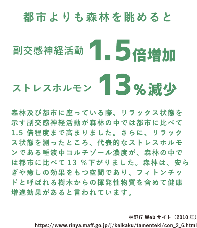 都市よりも森林を眺めると、副交感神経活動が1.5倍増加、ストレスホルモンが13%減少。森林及び都市に座っている際、リラックス状態を示す副交感神経活動が森林の中では都市に比べて、1.5倍程度まで高まりました。さらに、リラックス状態を測ったところ、代表的なストレスホルモンである唾液中コルチゾール濃度が、森林の中では都市に比べて13%下がりました。森林は、安らぎや癒しの効果をもつ空間であり、フィトンチッドと呼ばれる樹木からの揮発性物質を含めて健康増進効果があると言われています。出典：林野庁Web サイト（2010 年）（SP表示）