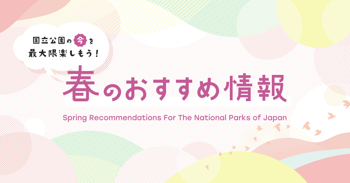 春のおすすめ情報のバナー画像