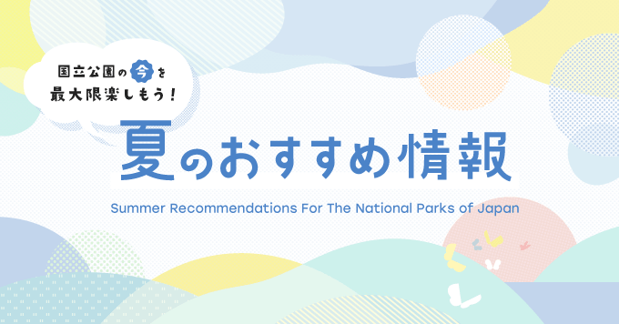 夏のおすすめ情報のバナー画像