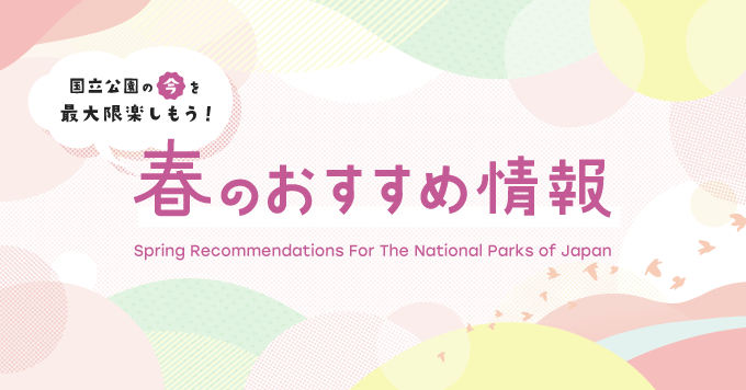 Pick up スライダー 春のおすすめ情報