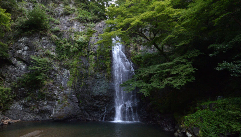 明治の森箕面国定公園の写真 1