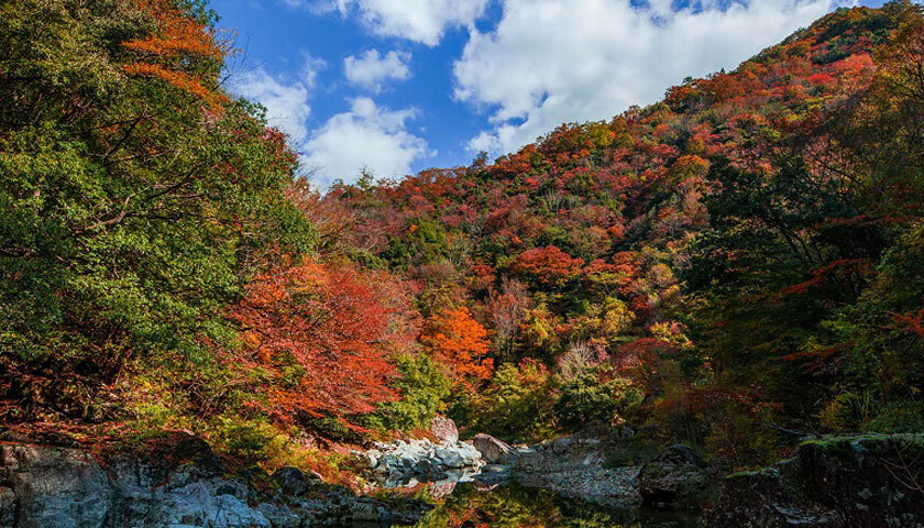 西中国山地国定公園の写真 1