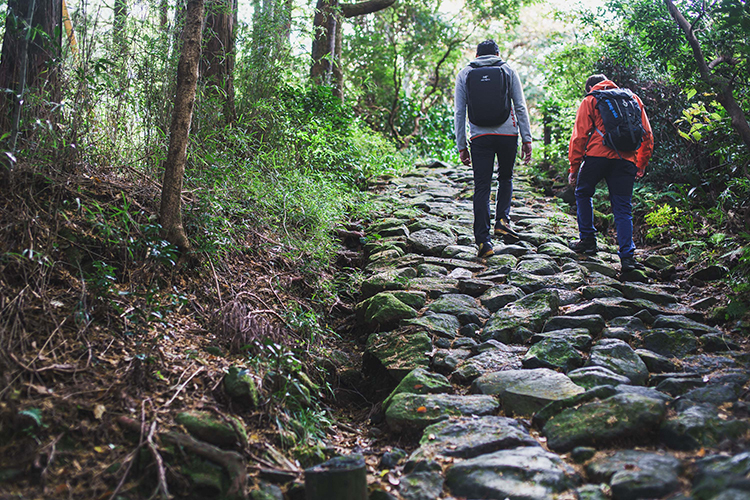 富士箱根伊豆国立公園 モデルコース写真 02