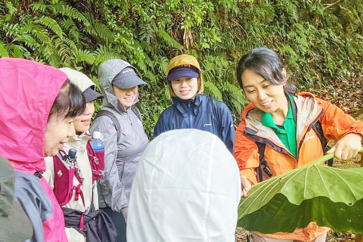 やんばる国立公園 モデルコース写真