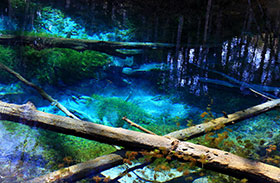 神秘的な青い湧水池の写真
