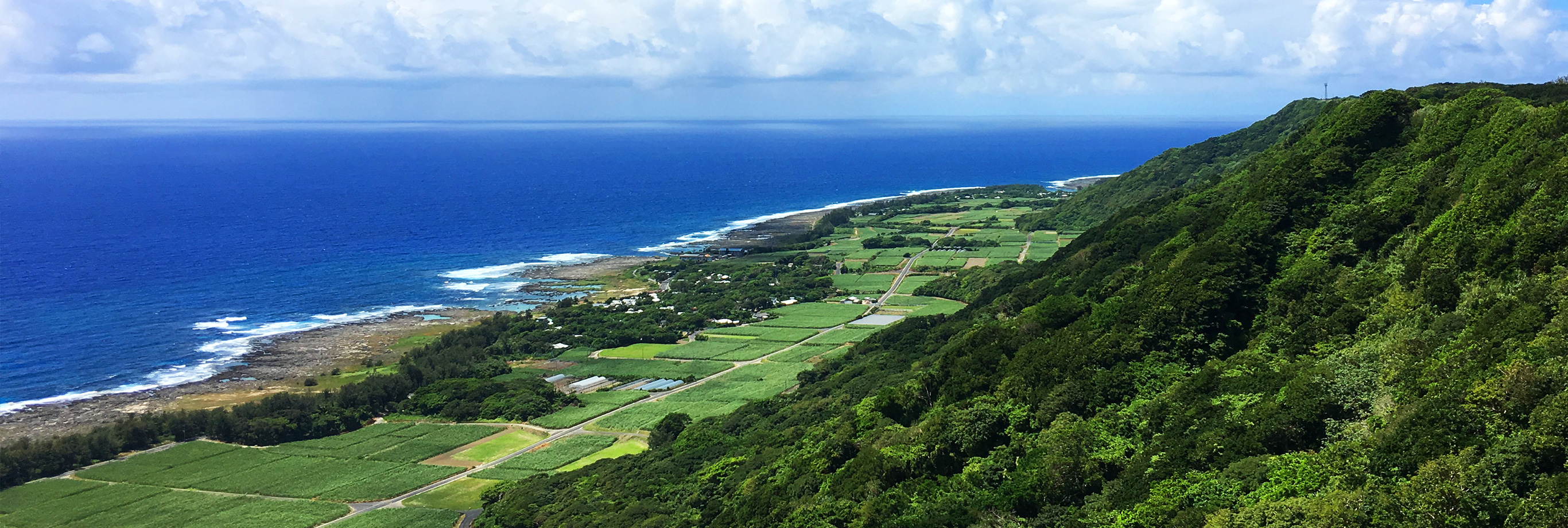 奄美群島国立公園（PC表示）