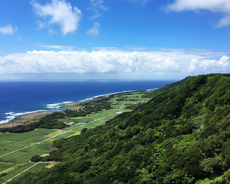 奄美群島国立公園（SP表示）