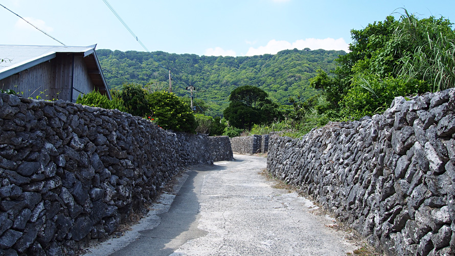 【写真】阿伝集落のサンゴの石垣