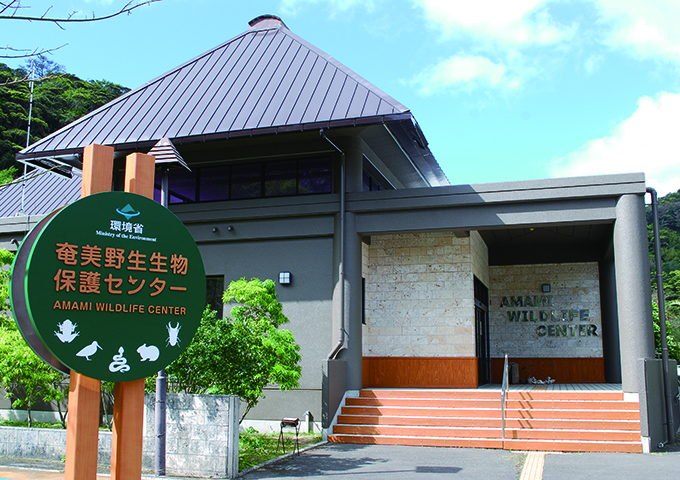 【サムネイル】奄美野生生物保護センター