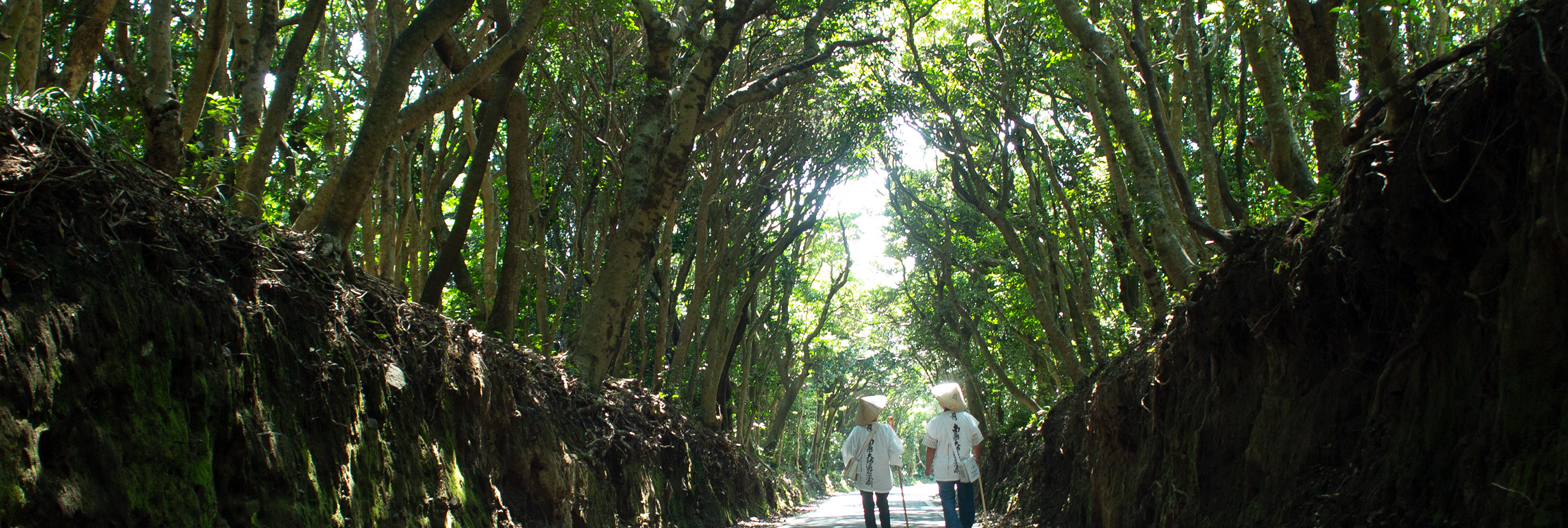 足摺宇和海国立公園（PC表示）