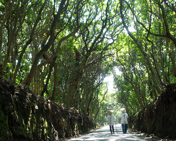 足摺宇和海国立公園（SP表示）