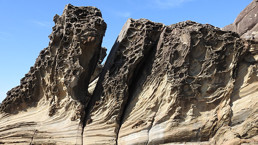 【写真】竜串海岸の奇岩群