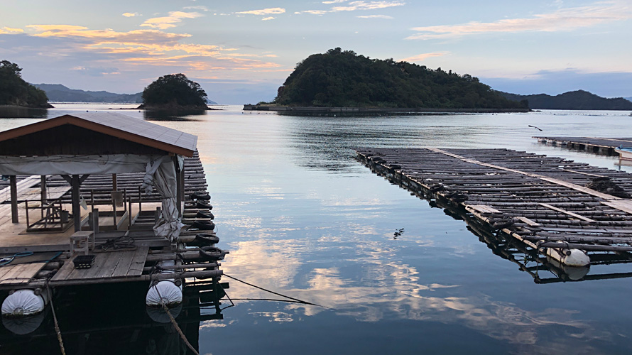 【写真】宇和海の真珠養殖