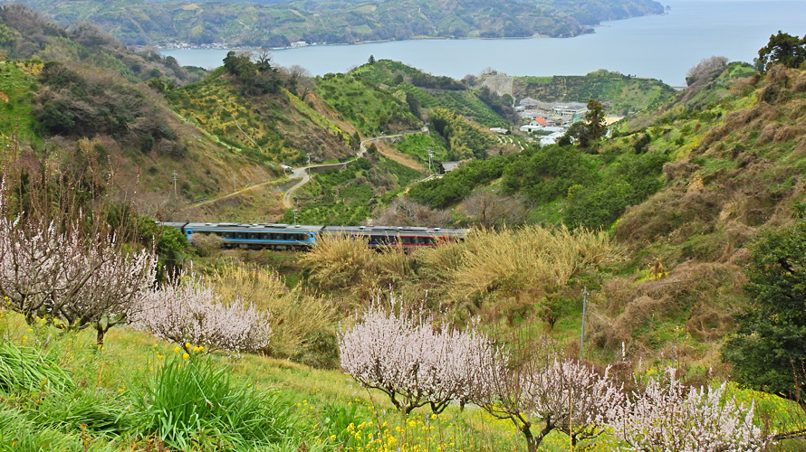 【写真】法華津峠