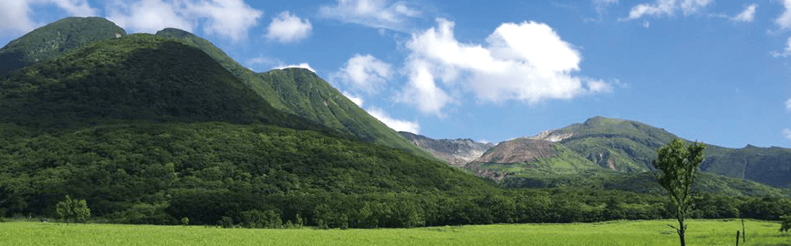 【写真】タデ原湿原散策コース