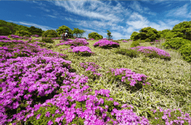 黒岩山の山頂への写真